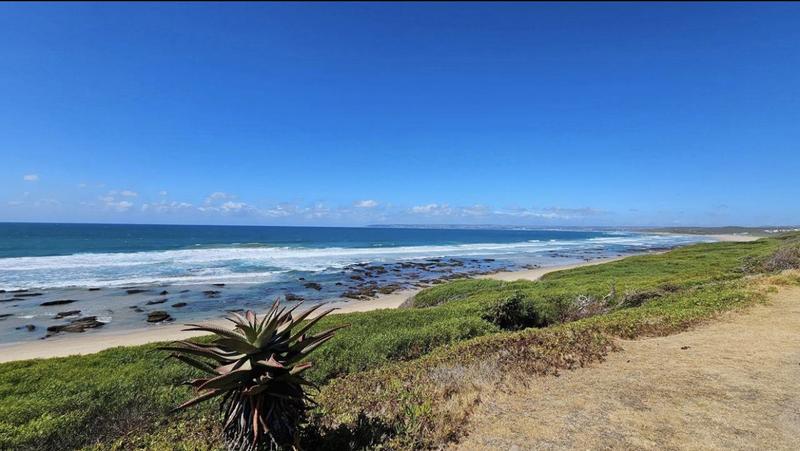 0 Bedroom Property for Sale in Reebok Western Cape